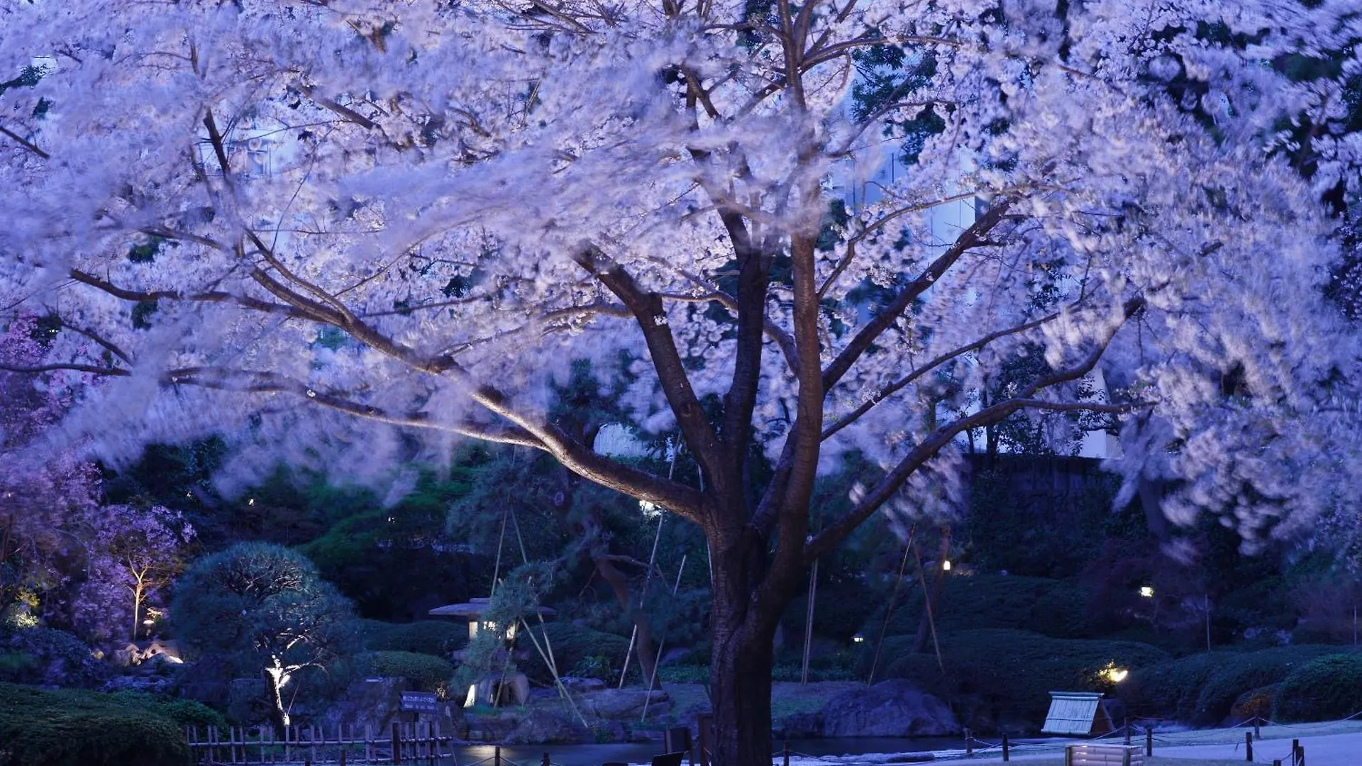 ***** Hotel The Prince Sakura Tower Tokyo, Autograph Collection Japan